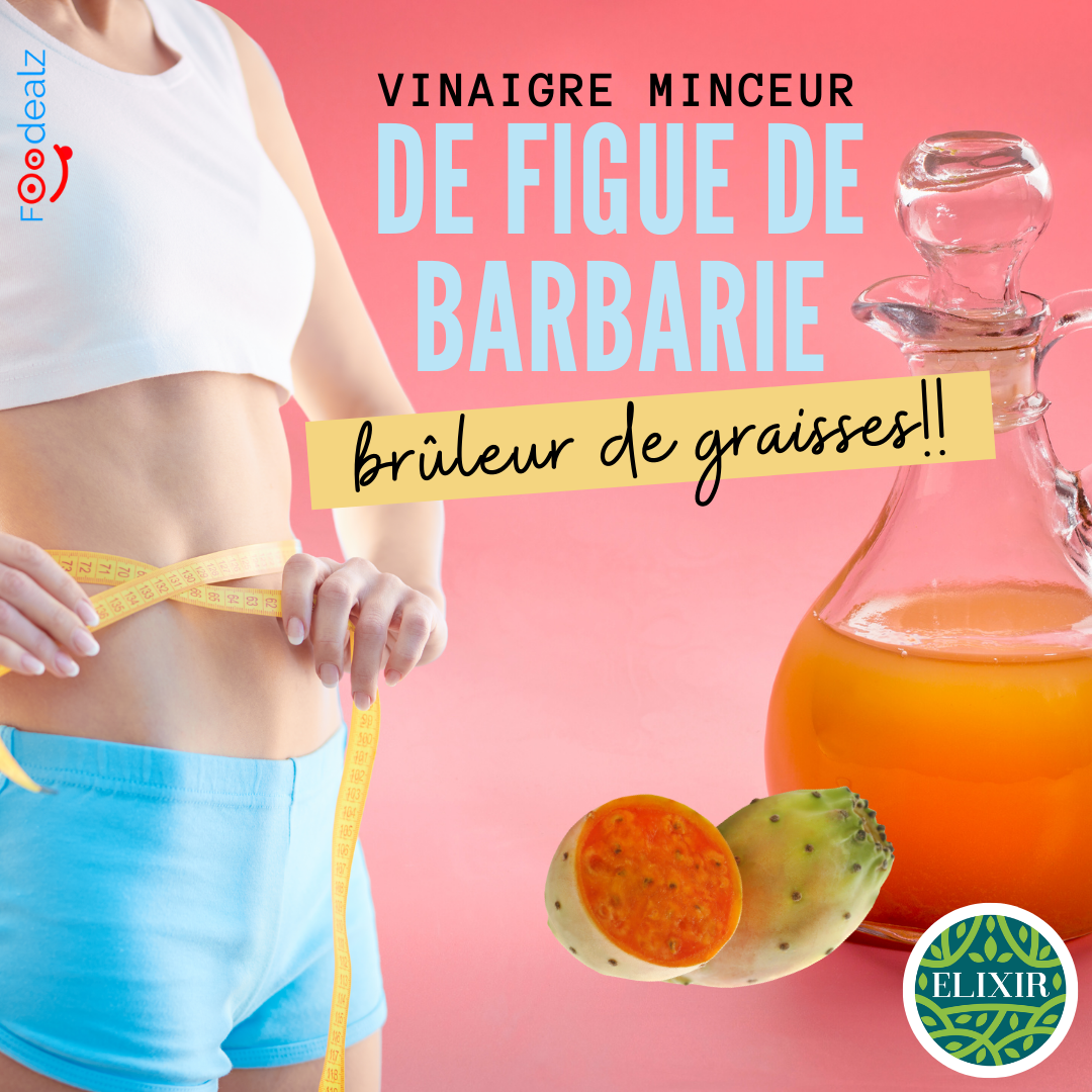 LE FIGUE DE BARBARIE